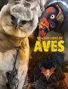 Mi gran libro de aves