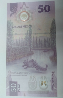 México - 50 Pesos - Cédula de Polimero - FE - comprar online