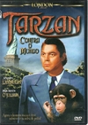 DVD Tarzan Contra o Mundo