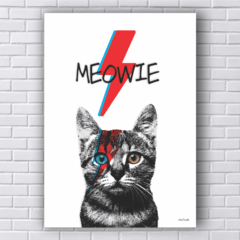 Placa gato david bowie raio