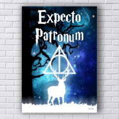 Placa EXPECTO PATRONUM  Harry Potter