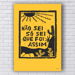 Placa NÃO SEI SÓ SEI QUE FOI ASSIM