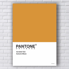 Quadro Pantone