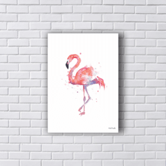 Placa Flamingo