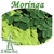 MORINGA