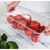 ORGANIZADOR CLEAR FRESH 5L - comprar online