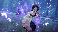 DEMON SLAYER - KIMETSU NO YAIBA - THE HINOKAMI CHRONICLES NINTENDO SWITCH