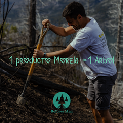 Micelia OTOÑO - Revista estacional de autoconocimiento y creatividad en internet