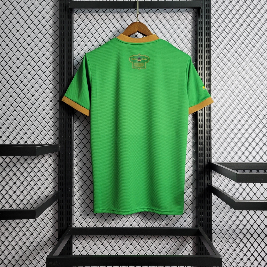 Camisa da Seleção do Brasil Treino 2021/22 (XGG)