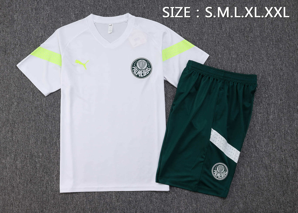 Camisa de treino do palmeiras puma 2019 2025