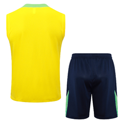 conjunto-de-treino-do-brasil-nike-2024-2025-24-25-pré-jogo-treino-aquecimento-amarelo-verde-camisa-camiseta-regata-quente-short-bermuda-calção-fresco-academia-treino-treinar-treinamento-malhar-novo-nova-lançamento-temporada-profissional-original-oficial-