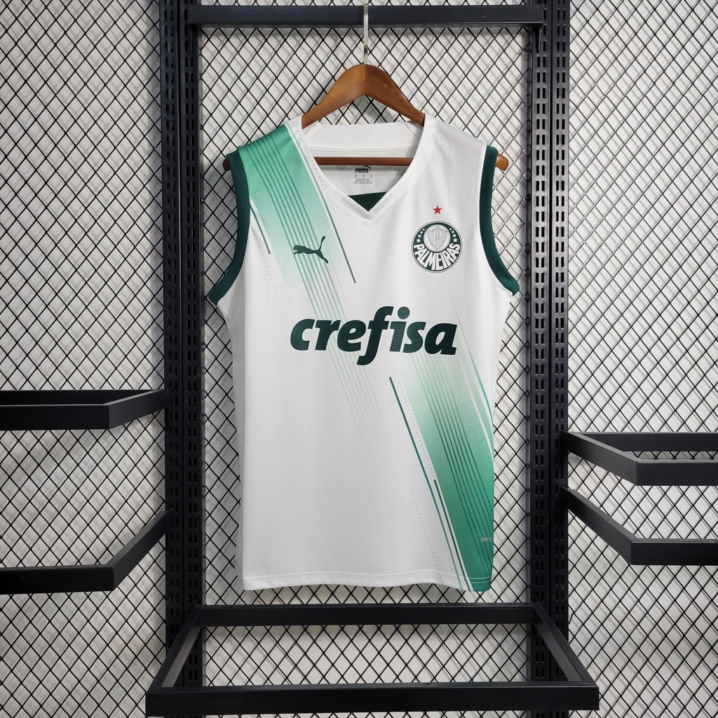 Nova Regata Palmeiras 1 Torcedor Masculina 2023 / 2024 - 021 Sport, Maior  Variedade de Camisas de Futebol