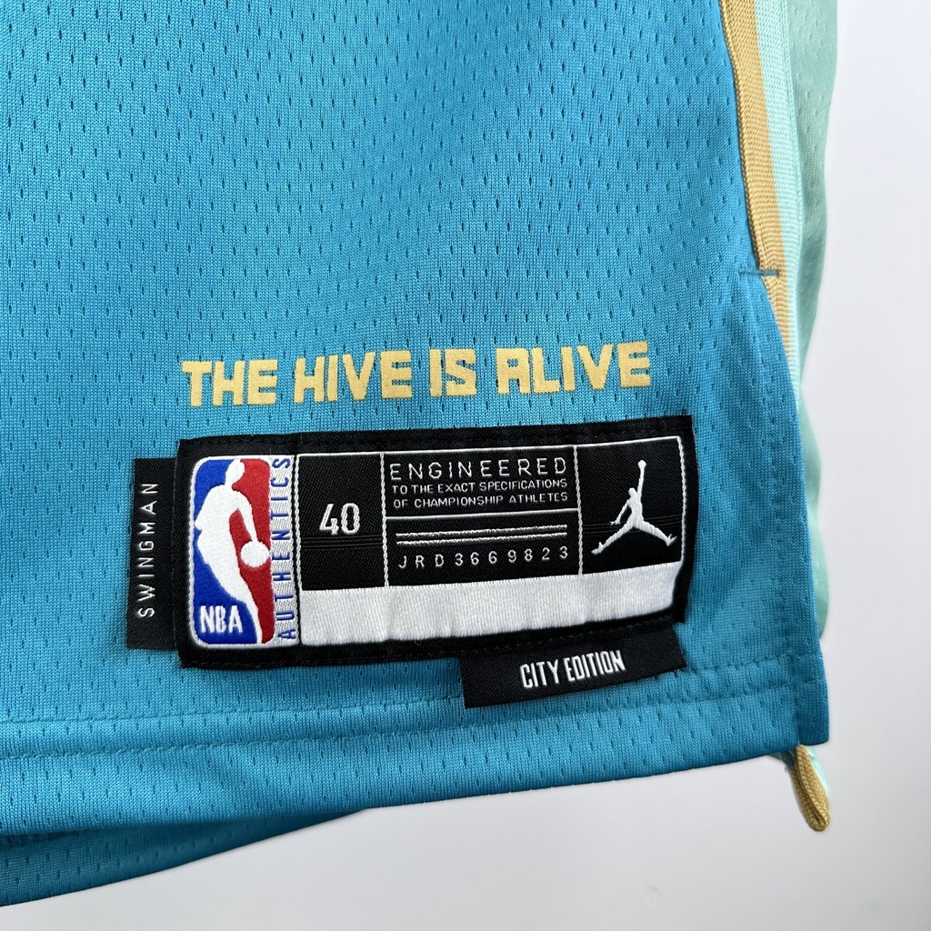 Regata Charlotte Hornets NBA 2024 Jordan City Edition Swingman