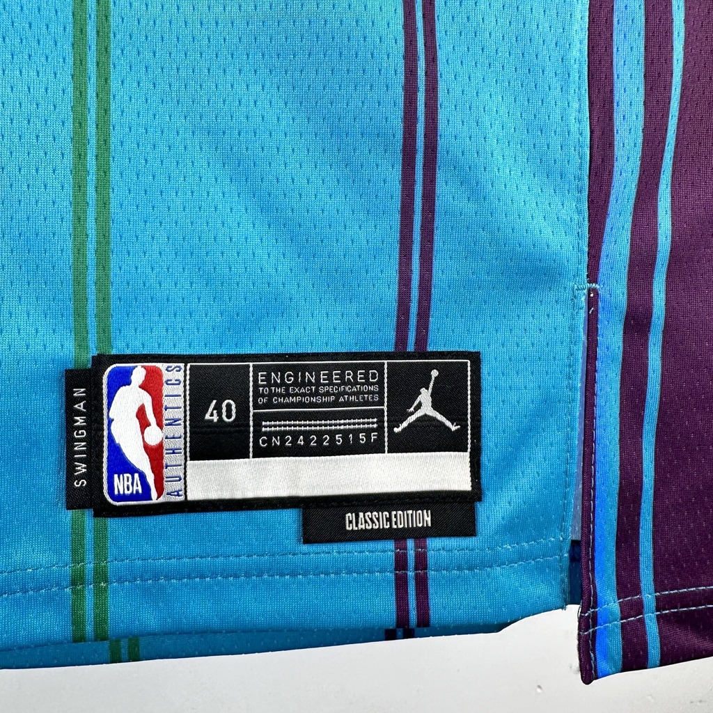 Camiseta hornets jordan top