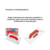 Desempenadeira PVC Textura 15X26CM - CASTOR na internet