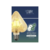 LAMPADA DE FILAMENTO LED STAR 4W - GMH - comprar online