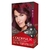 Tintura para el Cabello Colorsilk Revlon Kit (todos los tonos) - tienda online