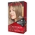 Tintura para el Cabello Colorsilk Revlon Kit (todos los tonos)