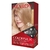 Tintura para el Cabello Colorsilk Revlon Kit (todos los tonos) - COVADONGA