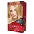 Imagen de Tintura para el Cabello Colorsilk Revlon Kit (todos los tonos)