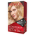 Tintura para el Cabello Colorsilk Revlon Kit (todos los tonos) - COVADONGA