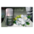 Desodorante de Ambiente Aerosol New Scent x 185gr (Todas las Fragancias) - COVADONGA