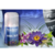 Desodorante de Ambiente Aerosol New Scent x 185gr (Todas las Fragancias) en internet