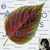 Songbook Antonio Carlos Jobim Vol. 3 Cd Original