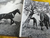 Imagem do Pferde Elian J. Finbert Livro Sobre Cavalos Made In Suiça