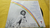 Bobby Wilson I' Ll Be Your Rainbow Lp Black Music + Barato na internet