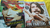 Rolling Stone Lote Com 8 Revistas Anos 2008 A 20013 Oferta - loja online