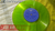Disco De Dez Polegadas Coreano Cor Verde Limão Oferta - loja online