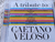 A Tribute To Caetano Veloso Cd Original Novo na internet