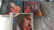 A Indomada Clone Av Brasil Etc 7 Cds Novelas Tudo Original - Ventania Discos e Sebo