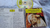 Rossini Festival Stabat Mater Kit 2 Cds Originais Importados - Ventania Discos e Sebo