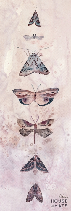 DAYLIGHT MOTH BY ULA BASINSKA - comprar online