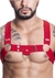 Harness em Elástico Vermelho Com Metal HE001V  | Segredos Sex Shop | Imagem | Sex Shop