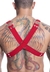 Harness em Elástico Vermelho Com Metal HE001V  | Segredos Sex Shop | Imagem | Sex Shop