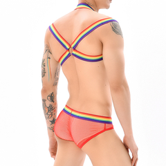 Conjunto de Arnés y Slip New Pride - AMERICAN TOP UNDERWEAR