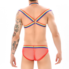 Conjunto de Arnés y Slip New Pride - comprar online