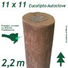 Mourão de Eucalipto Autoclave Diâmetro de 11 x 220 cm - comprar online