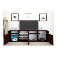 MODULAR TV ANTARTIDA en internet