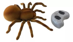 Tarantula a Radio Control WILD PETS de Isakito - 7798393868866 - Libreria Pincelada