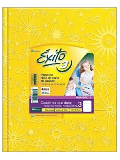 Cuaderno N°3 x 100 HS Rayadas de Exito (011613) en internet