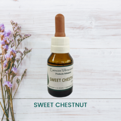 Sweet Chestnut 20ml