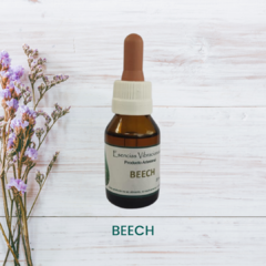 Beech 20ml