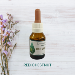 Red Chestnut 20ml