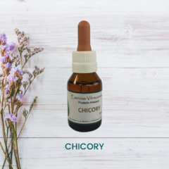 Chicory 20ml