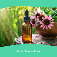 Sesión Terapia Floral a Distancia - comprar online