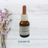 Clematis 20ml